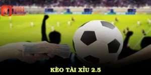 kèo tài xỉu 2.5