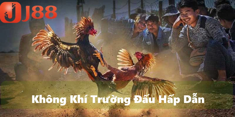 Không khí sân đấu rất sôi động