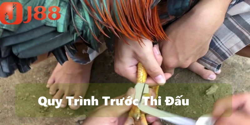 Quy trình trước trận tranh tài nghiêm ngặt